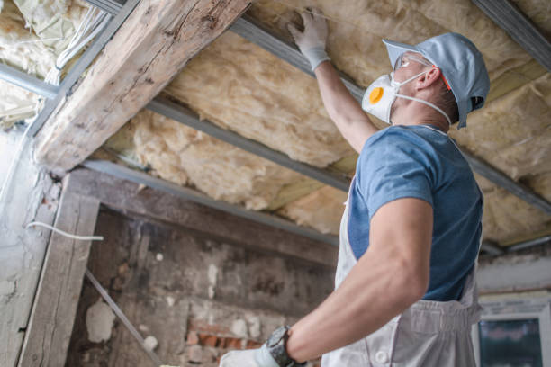 Best Insulation for Specific Applications in West End Cobb Town, AL
